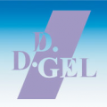 DDGEL ENGENHARIA