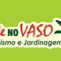 Arte no Vaso