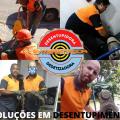 Divecel Exterminador dedetizadora e desentupidora Ltda me