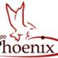 PHENICS GRUPO PHOENIX
